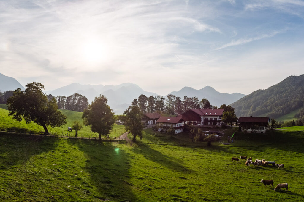 Plenkhof Fam. Thullner Bauernhof