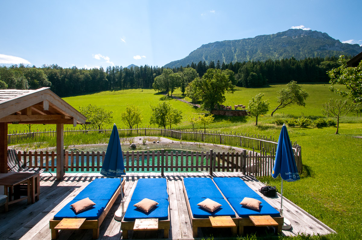 Plenkhof Fam. Thullner Bauernhof Schwimmteich