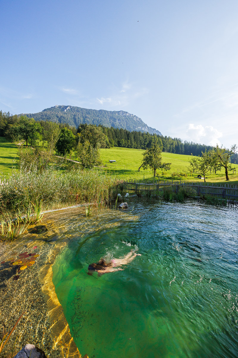 Plenkhof Fam. Thullner Bauernhof Schwimmteich